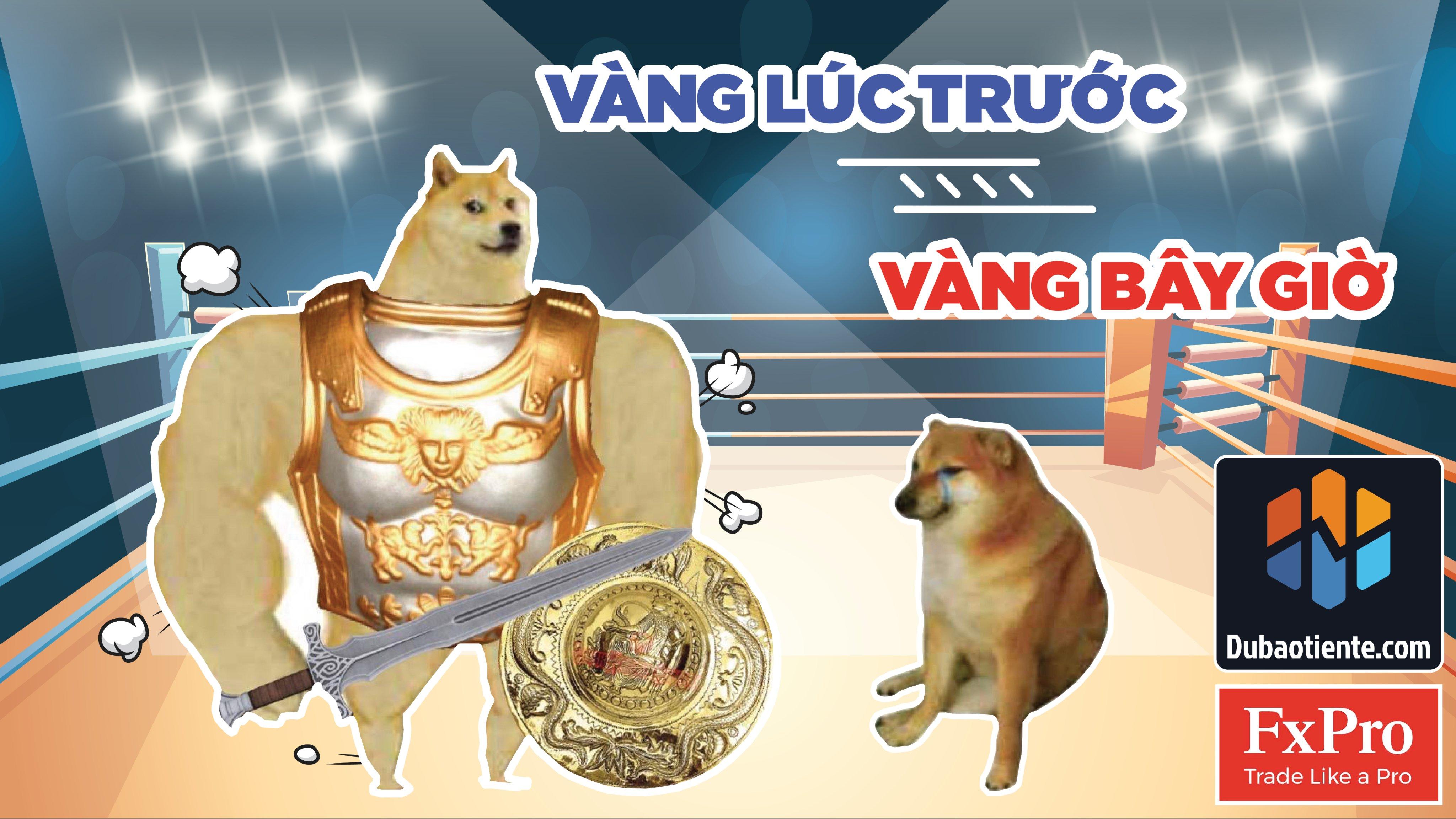 [ BẢN TIN DỰ BÁO TIỀN TỆ ] LỢI SUẤT TRÁI PHIẾU TĂNG PHI MÃ, CÁC QUỸ ĐẦU CƠ THÁO CHẠY KHỎI VÀNG