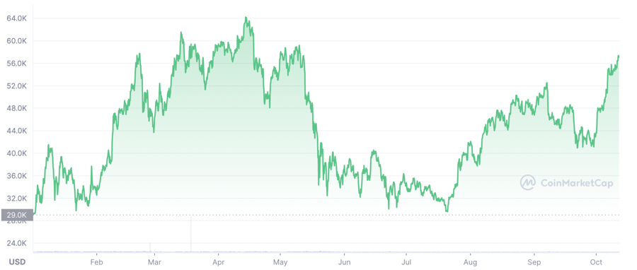 Diễn biến giá Bitcoin từ đầu năm đến nay.
