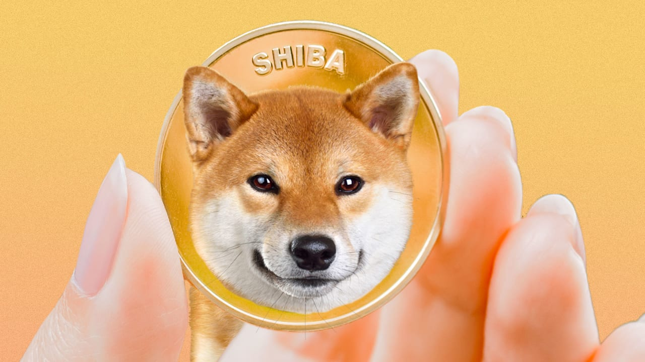 Gần 40% SHIB đang lưu hành thuộc sở hữu của công , cộng đồng Twitter đang  gọi Shiba Inu nhiều hơn BTC - Blockdio