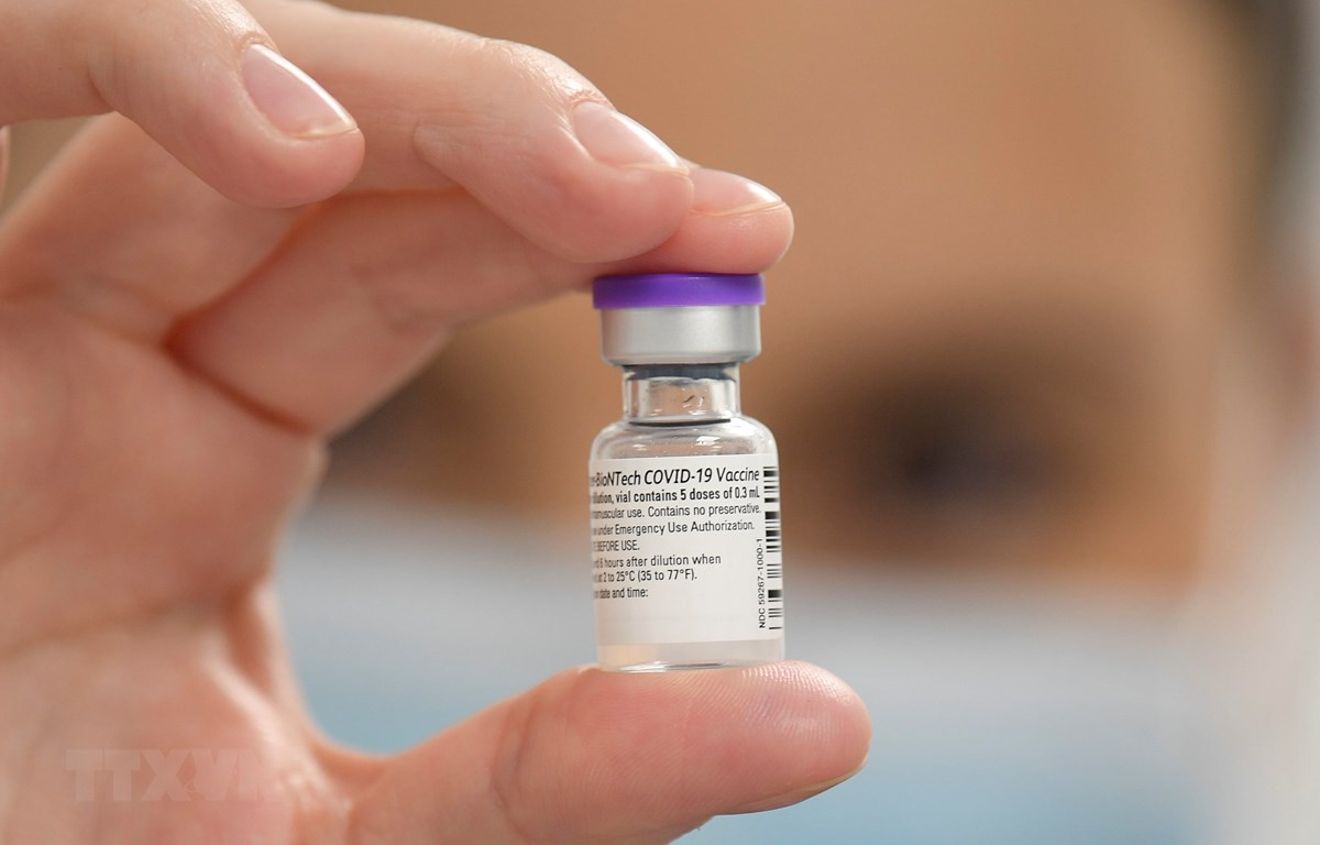 Tiêm đủ 2 liều vaccine Pfizer giảm 97% nguy cơ tử vong vì COVID-19 | Sức  khỏe | Vietnam+ (VietnamPlus)