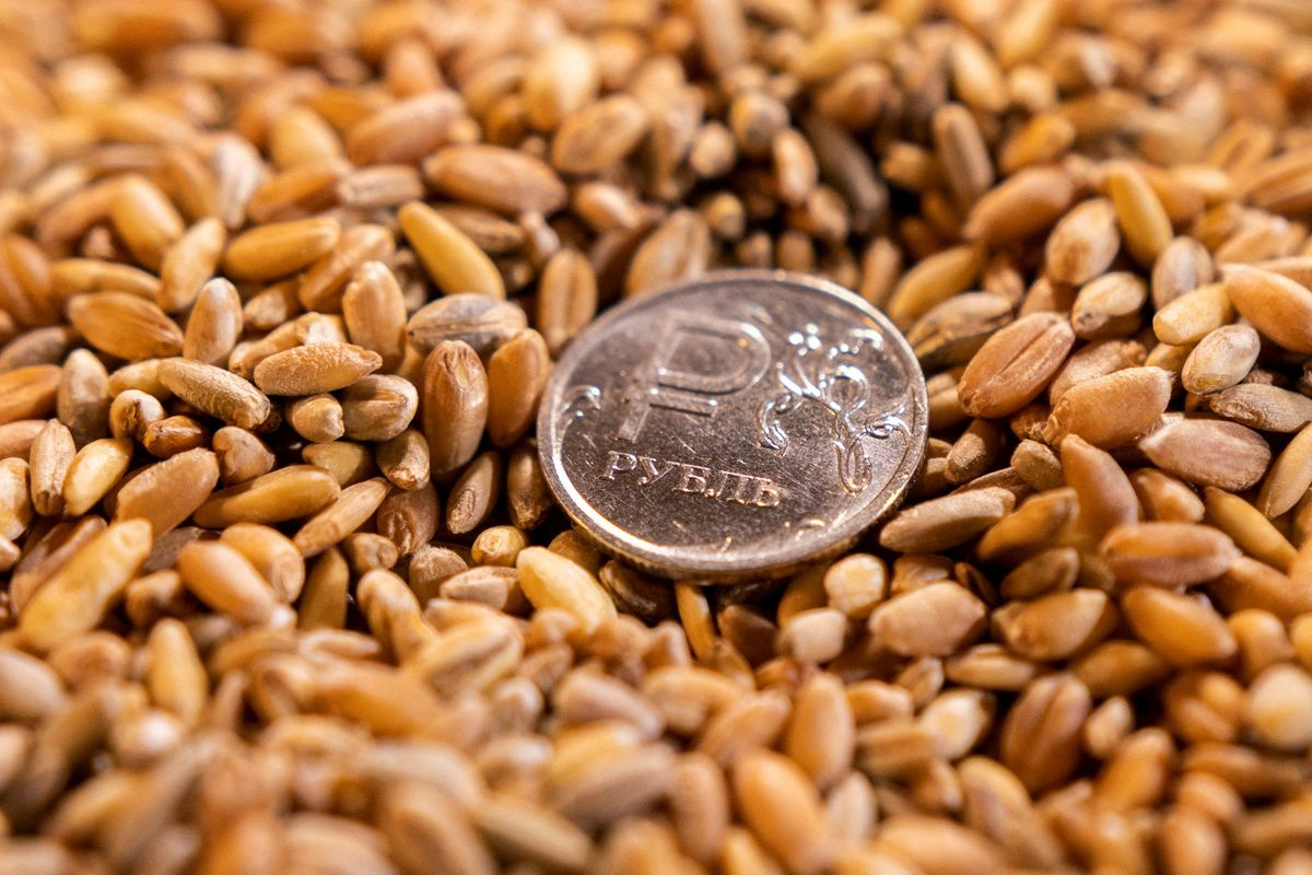 Illustration shows Russian rouble coin and grain