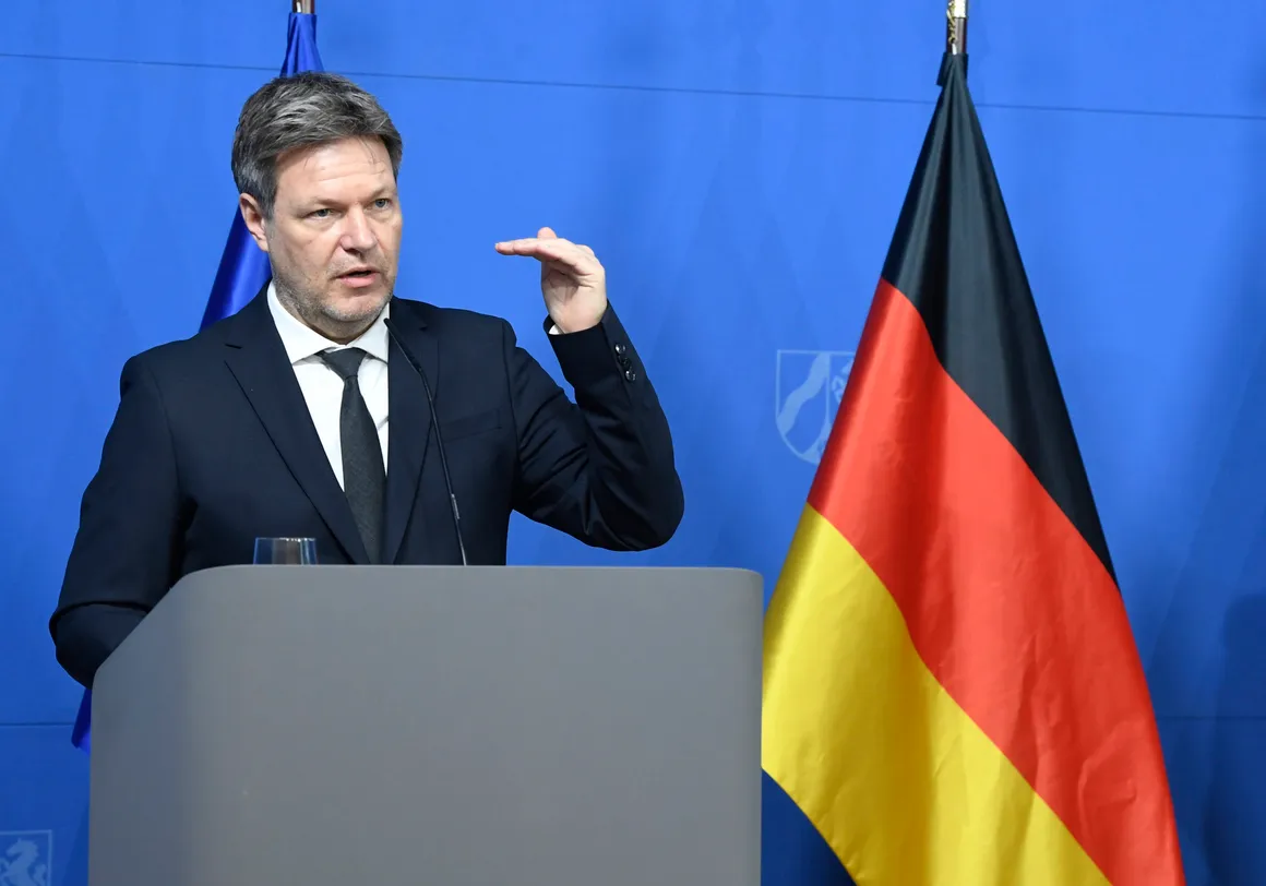 Germany's Habeck warns tank deliveries to Ukraine could turn West into Russian 'target' – POLITICO