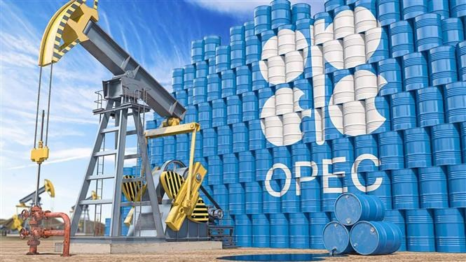OPEC+ không có khả năng kiểm soát sự biến động mạnh của giá dầu' | Kinh  doanh | Vietnam+ (VietnamPlus)