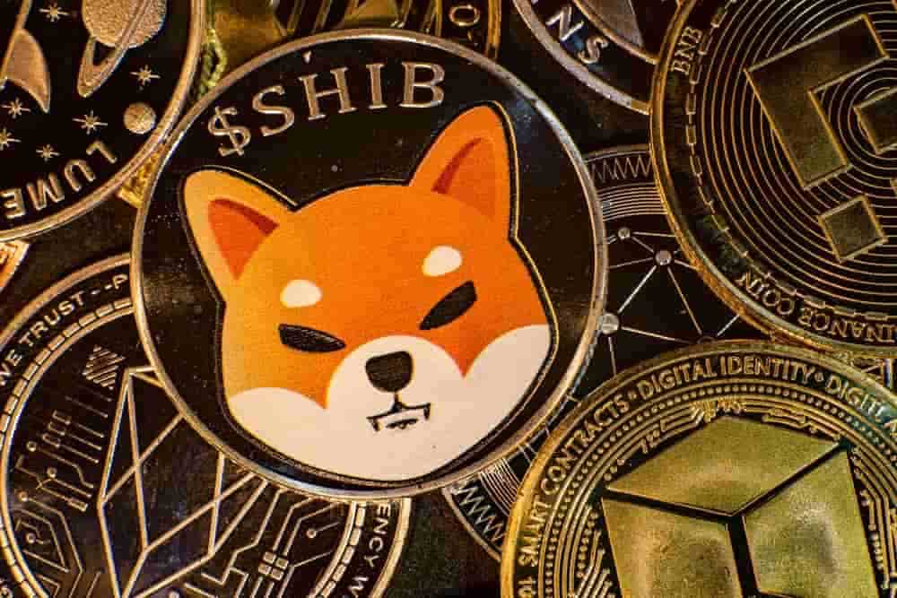 Shiba Inu: SHIB có thể đạt 0,1 USD nếu 50 nghìn tỷ SHIB bị đốt mỗi năm?