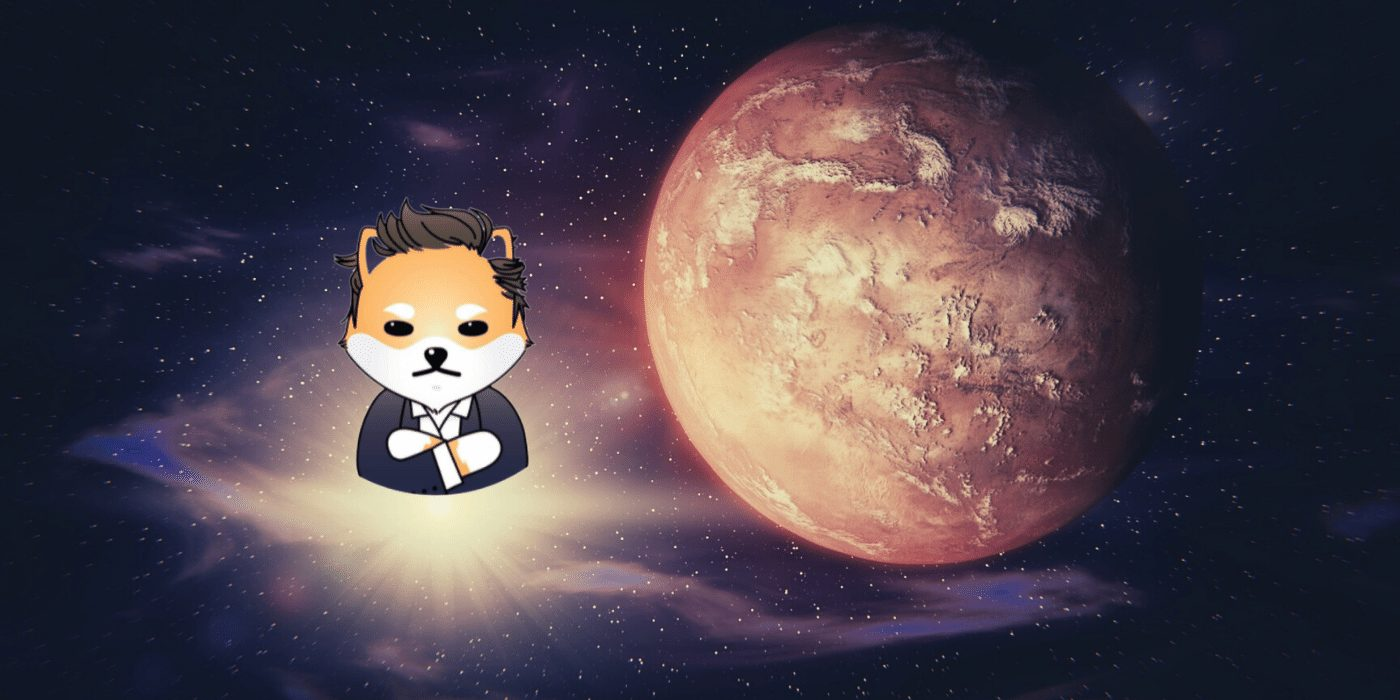 Dogelon Mars (ELON) Price Prediction 2024 - 2030