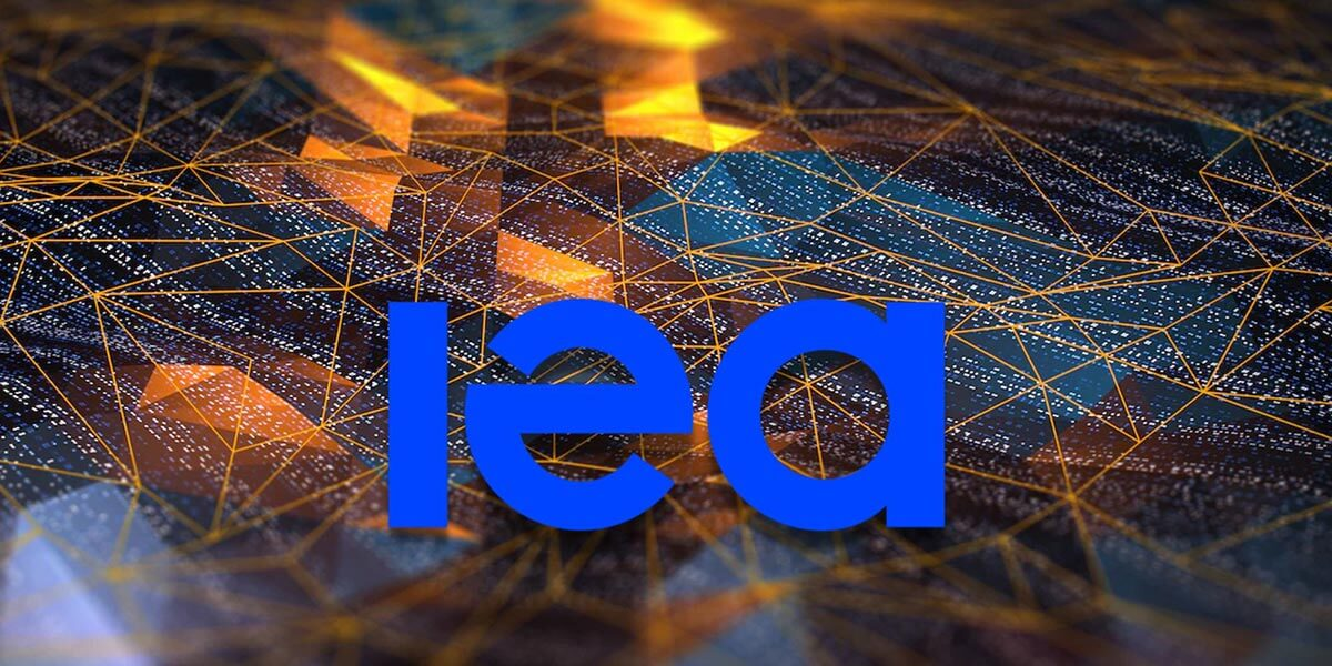 What is the International Energy Agency (IEA)?