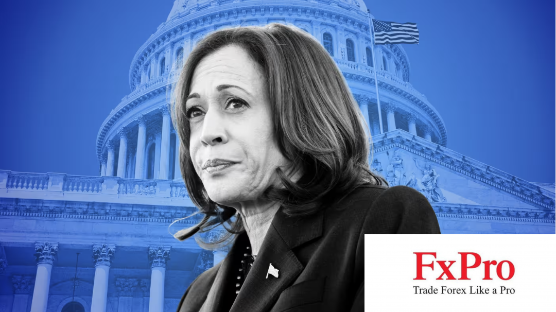 Kamala Harris: Nghệ thuật cân bằng trên con đường chinh phục Nhà Trắng