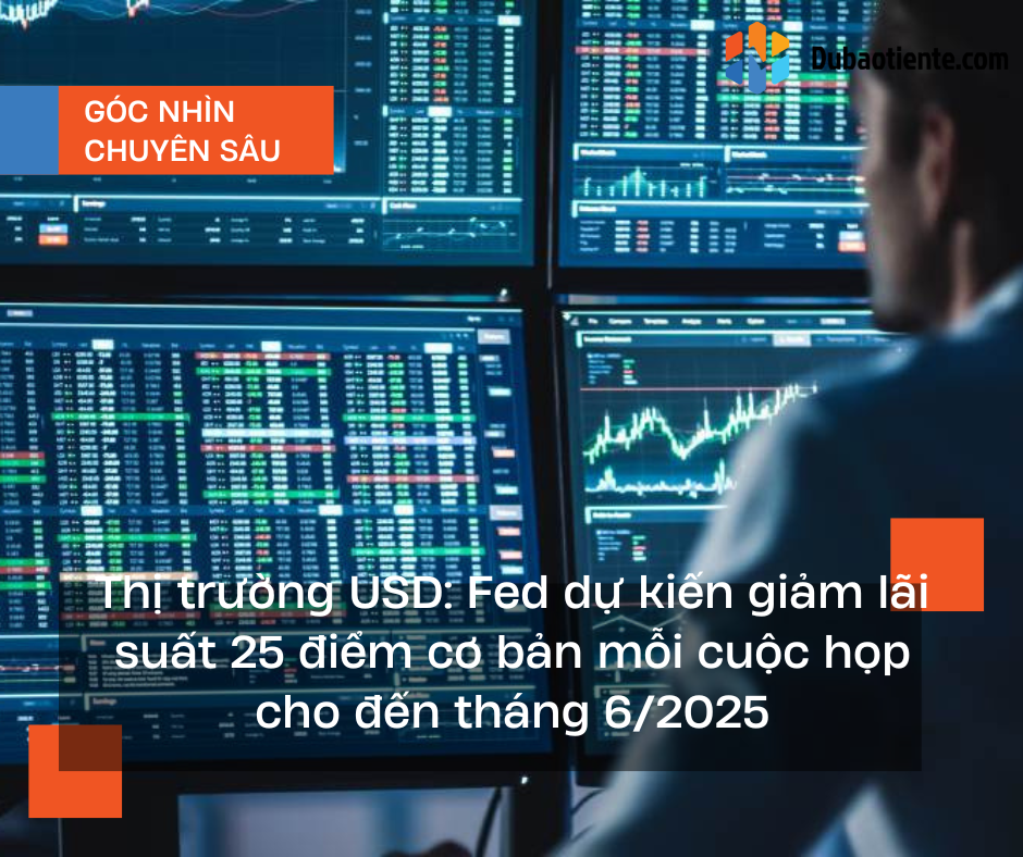 Thị trường USD: Fed dự kiến giảm lãi suất 25bps mỗi cuộc họp cho đến tháng 6/2025