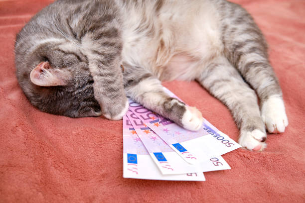 EUR/USD đà phục hồi chững lại – Lo ngại sóng tăng sẽ sớm dừng lại