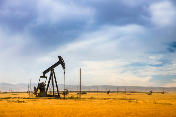 Giá dầu WTI giảm trở lại — Vì sao dư địa tăng mới có thể bị hạn chế