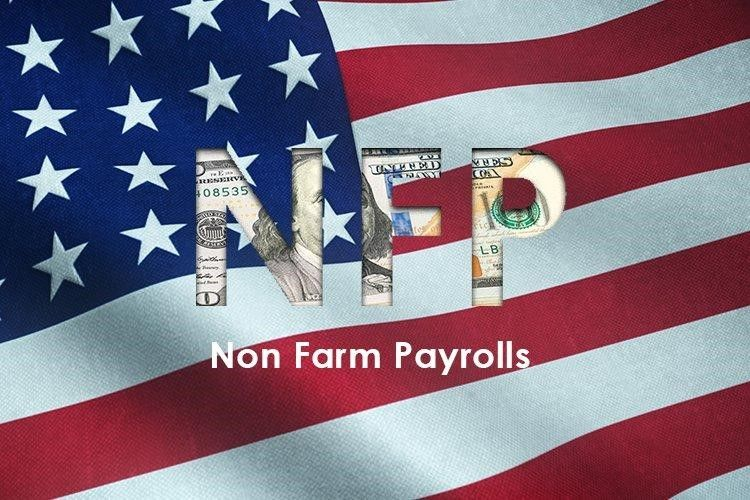 Non-farm payrolls (NFP) là gì? Làm thế nào để tối ưu giao dịch trên thị  trường tài chính với dữ liệu phi nông nghiệp? – Mitrade Academy