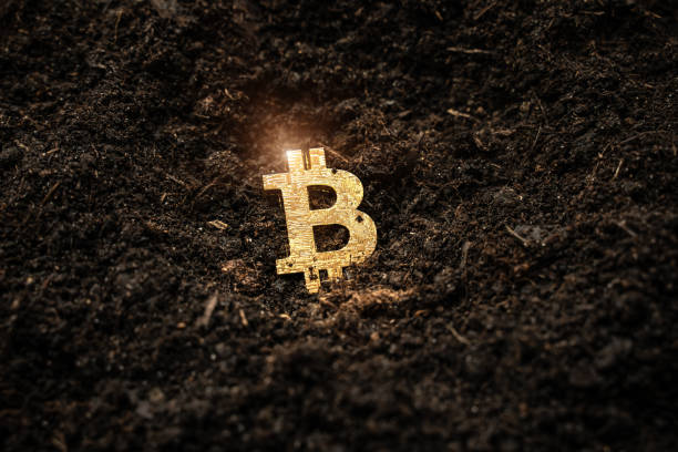 Đà tăng giá của Bitcoin: Mục tiêu $100,000 trong tầm ngắm khi lực mua tổ chức gia tăng
