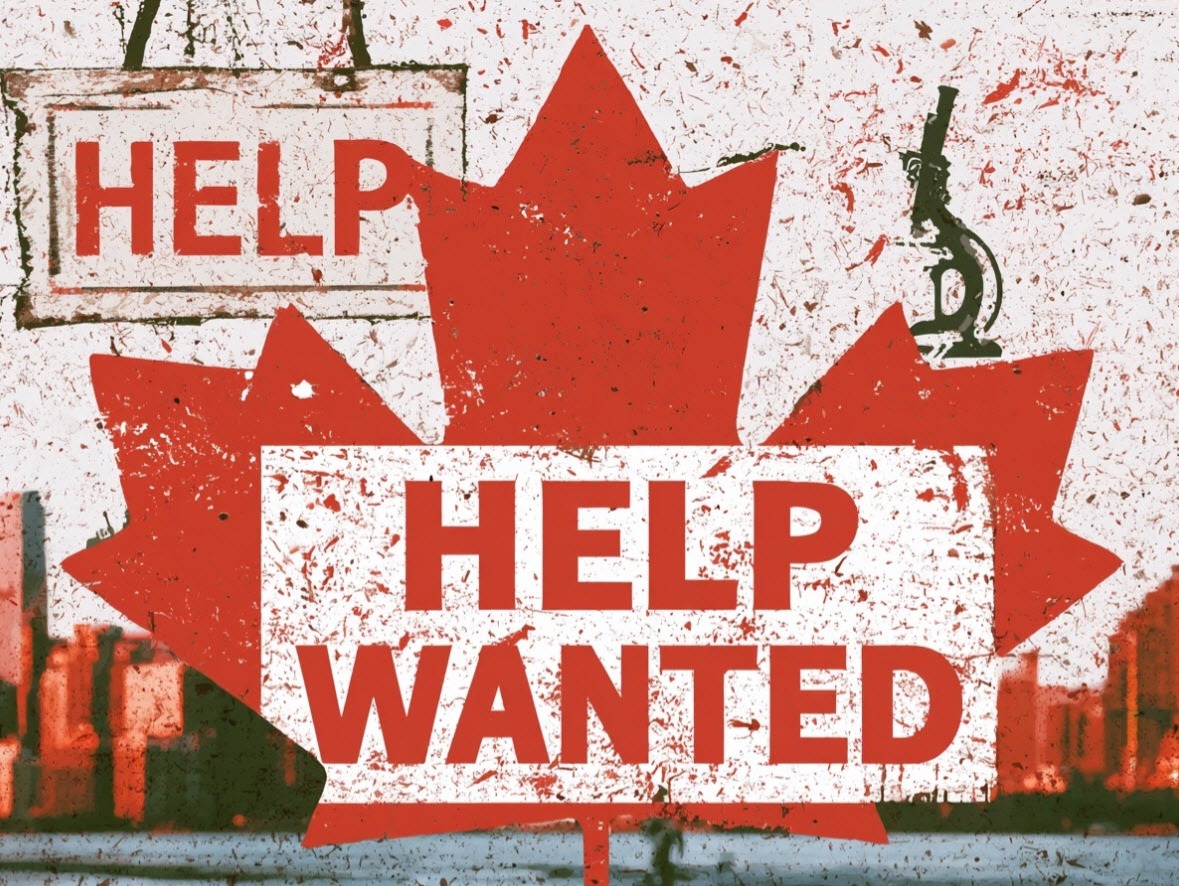 Báo cáo việc làm Canada