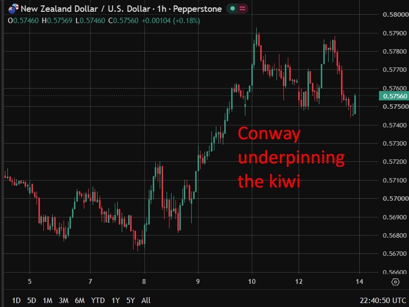 RBNZ Chief Economist Paul Conway